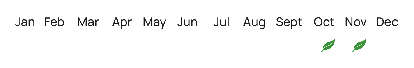 epoxikotita_mantarinia_elita_fruits