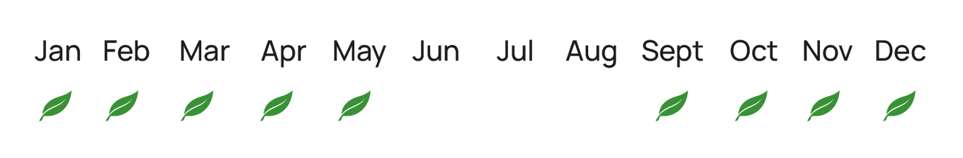 epoxikotita_prasina_mila_elita_fruits