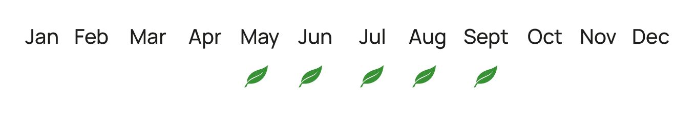 epoxikotita_rodakina_elita_fruits