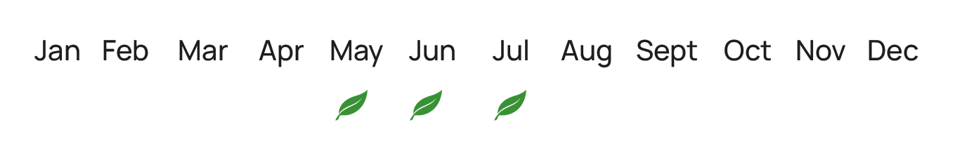 epoxikotita_verikoka_elita_fruits